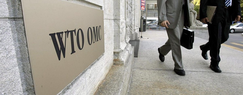 Нечего на ВТО пенять, если экономика неконкурентоспособна Нечего на ВТО пенять, если экономика неконкурентоспособна